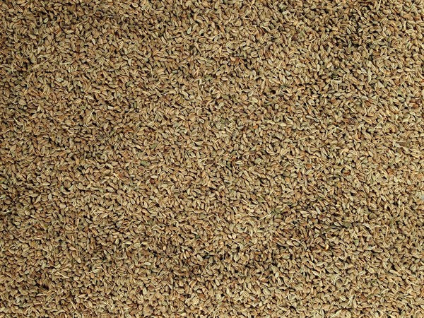 Iowan - 100 gr