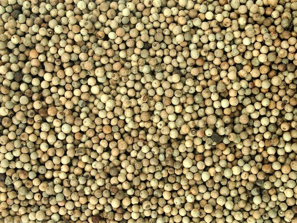 Organik tam beyaz biber - 100 gr