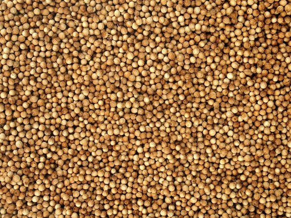 Organik tam kişniş - 100 g