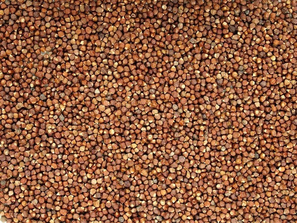 Gine biberi - domates çekirdeği - 100 gr