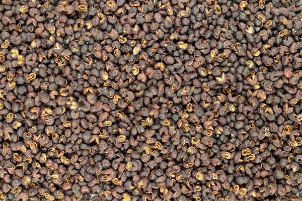 Sichuan biberi Timut bütün BIO - 100 g