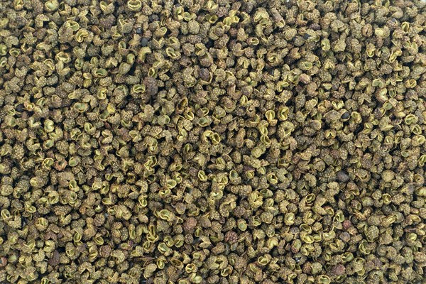 Sichuan yeşil biberi bütün - 100 g