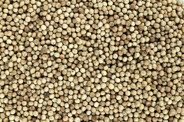 Kampot beyaz biberi - 100 g