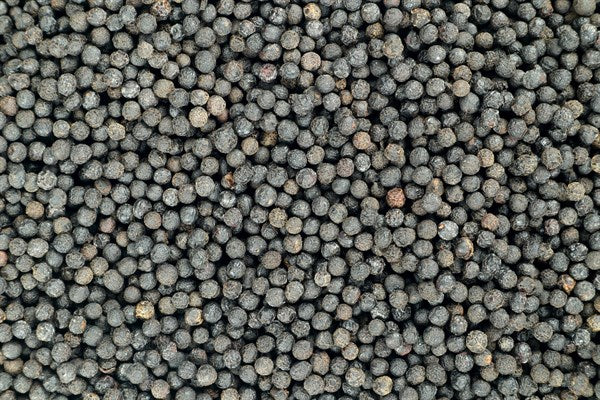 Verbena biberi - 100 gr