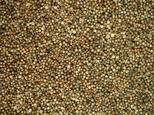 Bütün kişniş - 100 g
