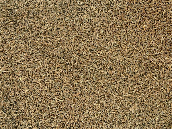 Tam organik Çek kimyonu - 100 g