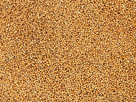 Tam organik beyaz hardal - 100 g