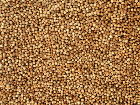 Organik tam kişniş - 100 g