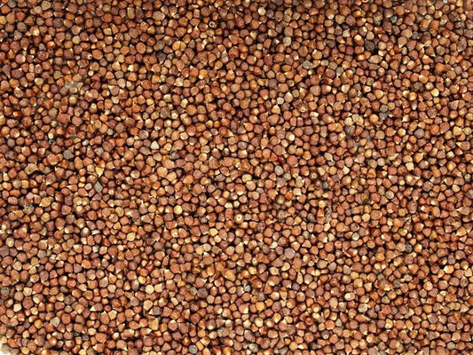 Gine biberi - domates çekirdeği - 100 gr