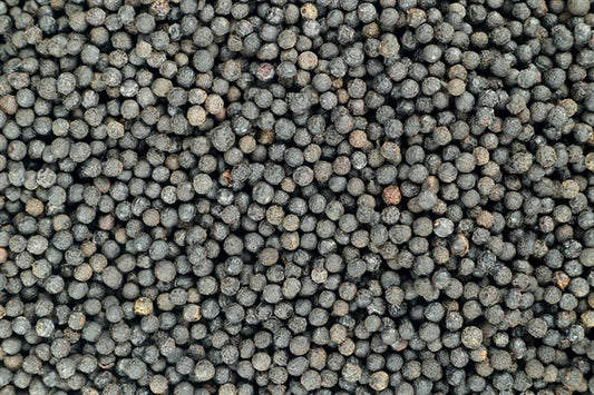 Verbena biberi - 100 gr